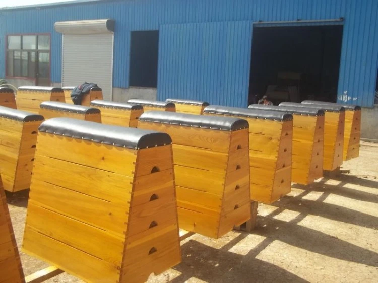 Children S Backflip Mat